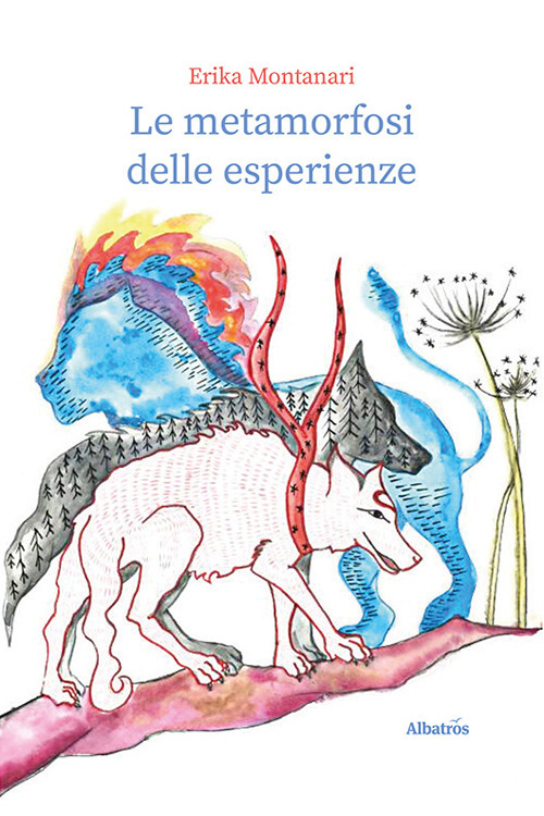 Le metamorfosi delle esperienze