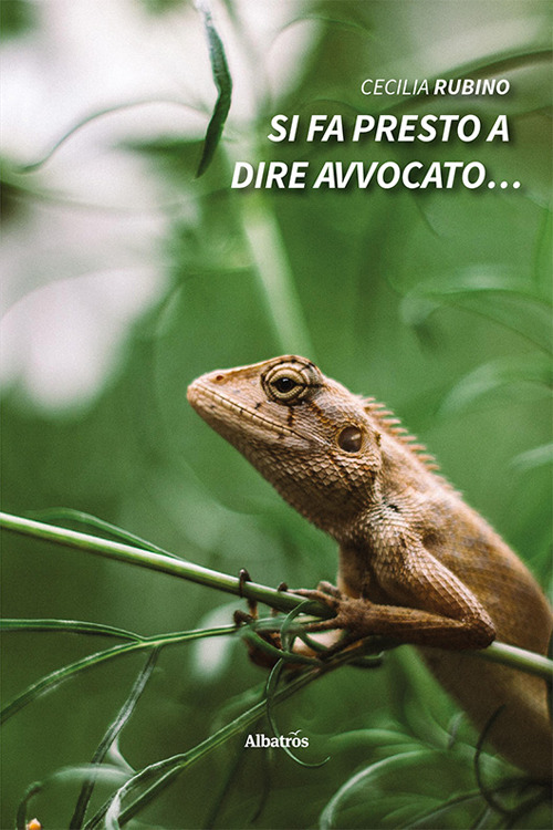 Si fa presto a dire avvocato…