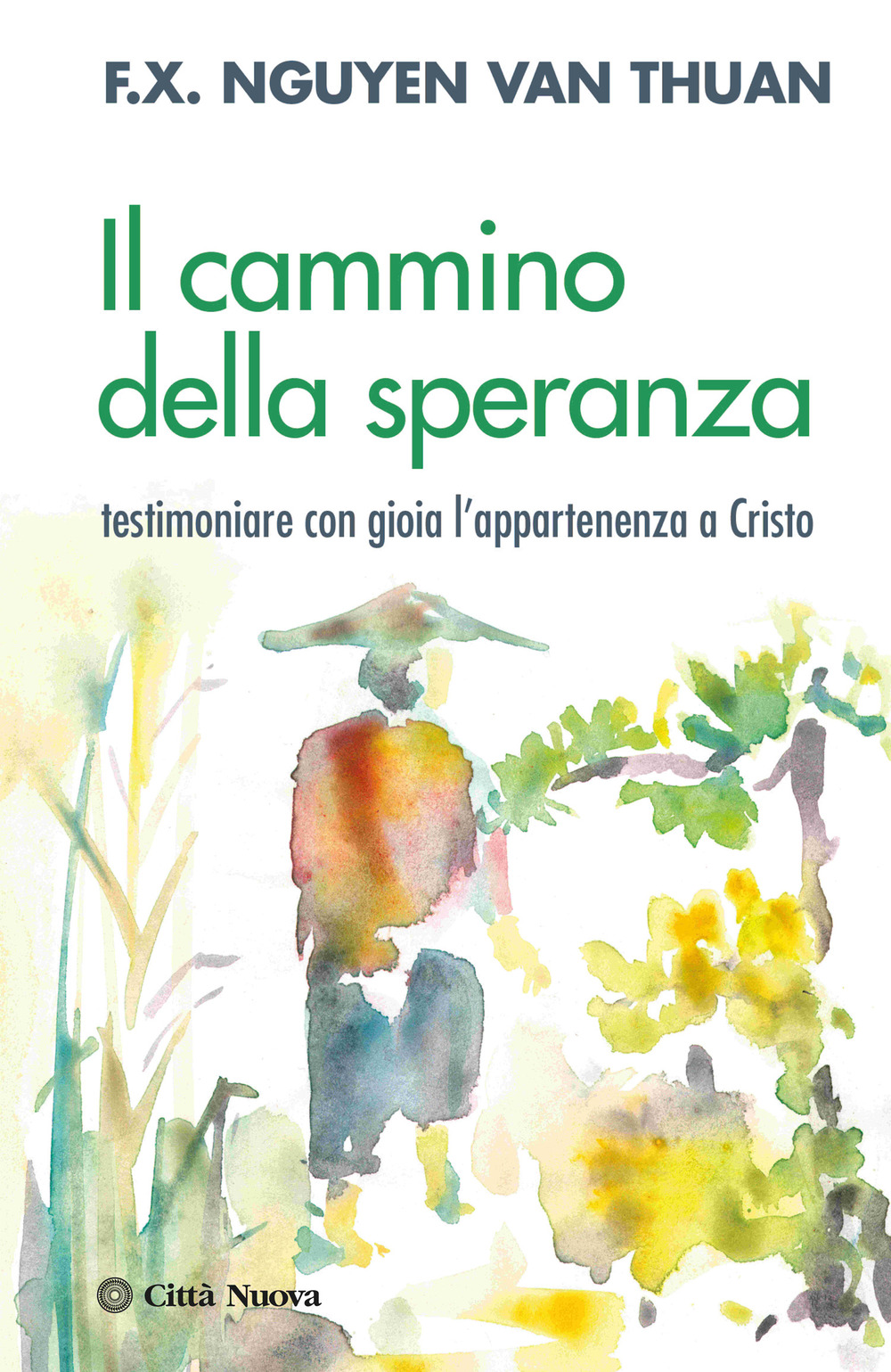 Il cammino della speranza. Testimoniare con gioia l'appartenenza a Cristo