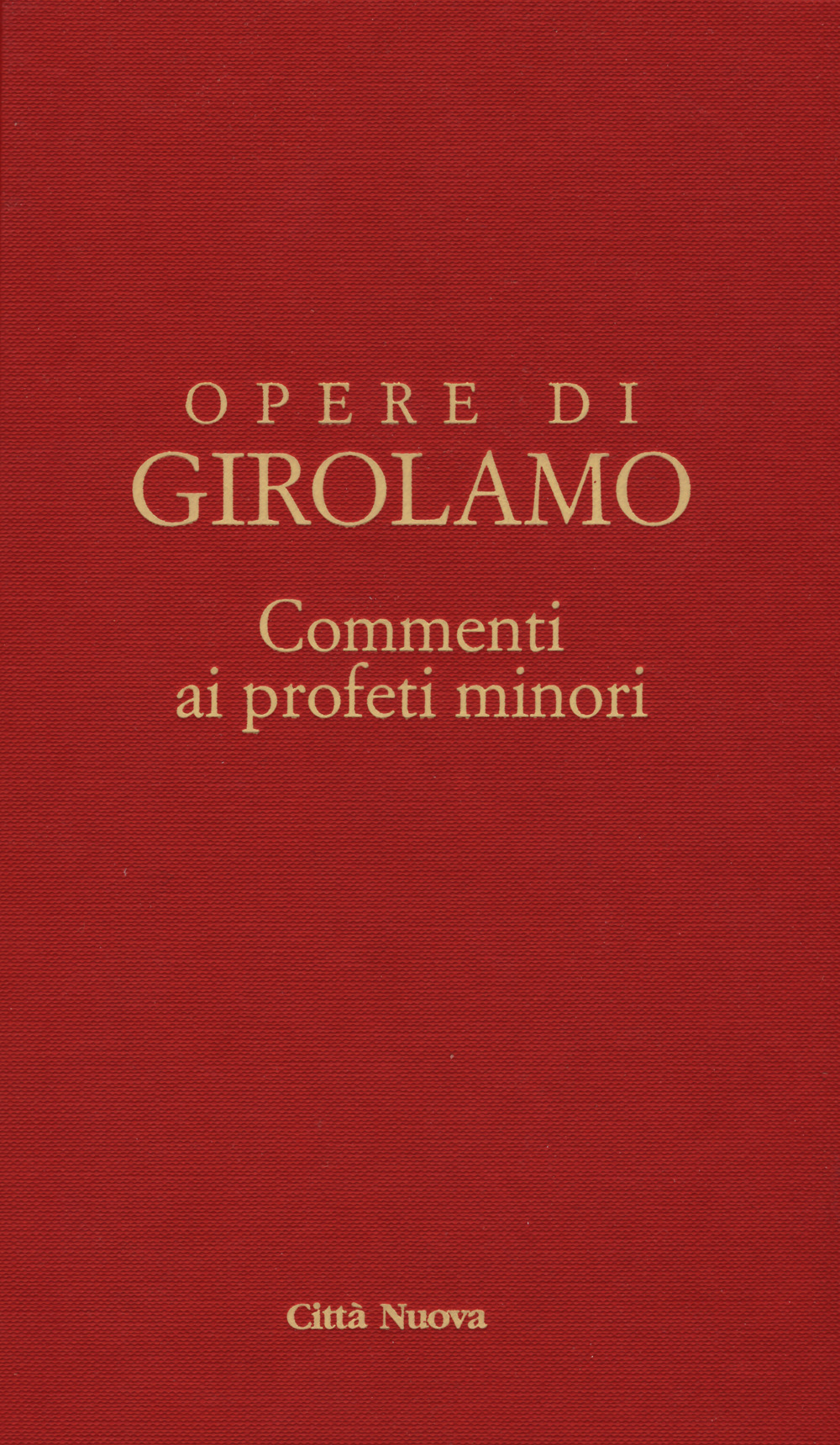Commento ai profeti minori. Sofonia, Aggeo, Abacuc e Giona. Testo latino a fronte