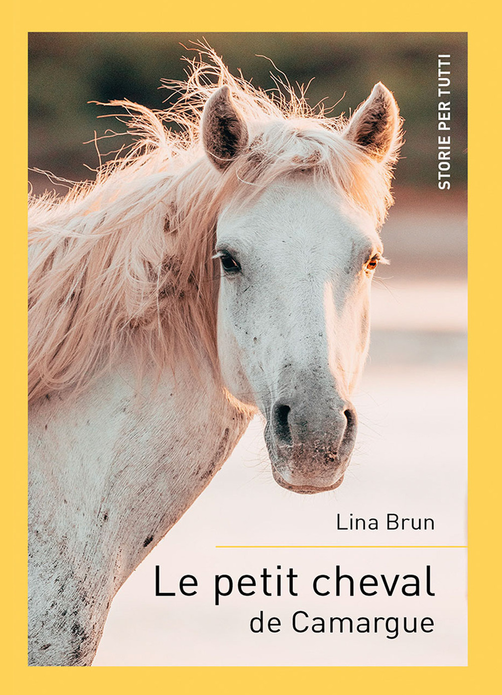 Le petit cheval de Camargue