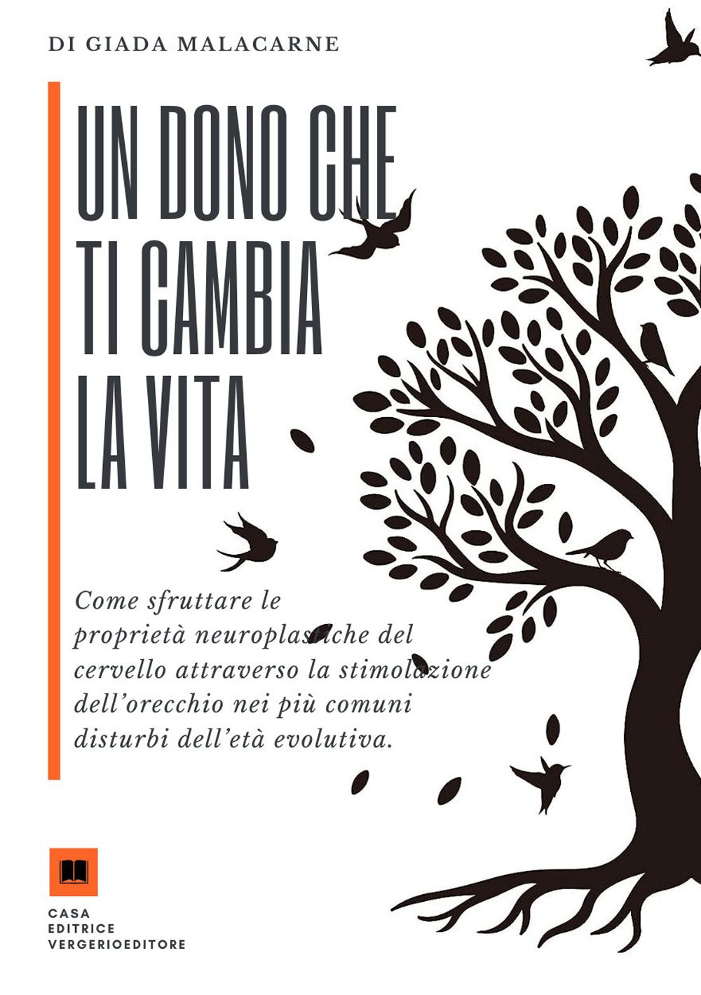 Un dono che ti cambia la vita. Come sfruttare le proprietà neuroplastiche del cervello attraverso la stimolazione dell’orecchio nei più comuni disturbi dell’età evolutiva