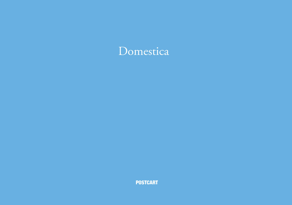 Domestica. Ediz, italiana e inglese