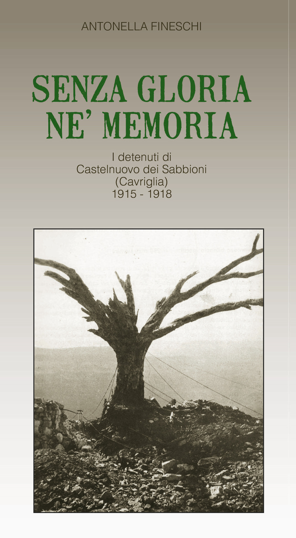 Senza gloria né memoria. I detenuti di Castelnuovo dei Sabbioni (Cavriglia) 1915-1918