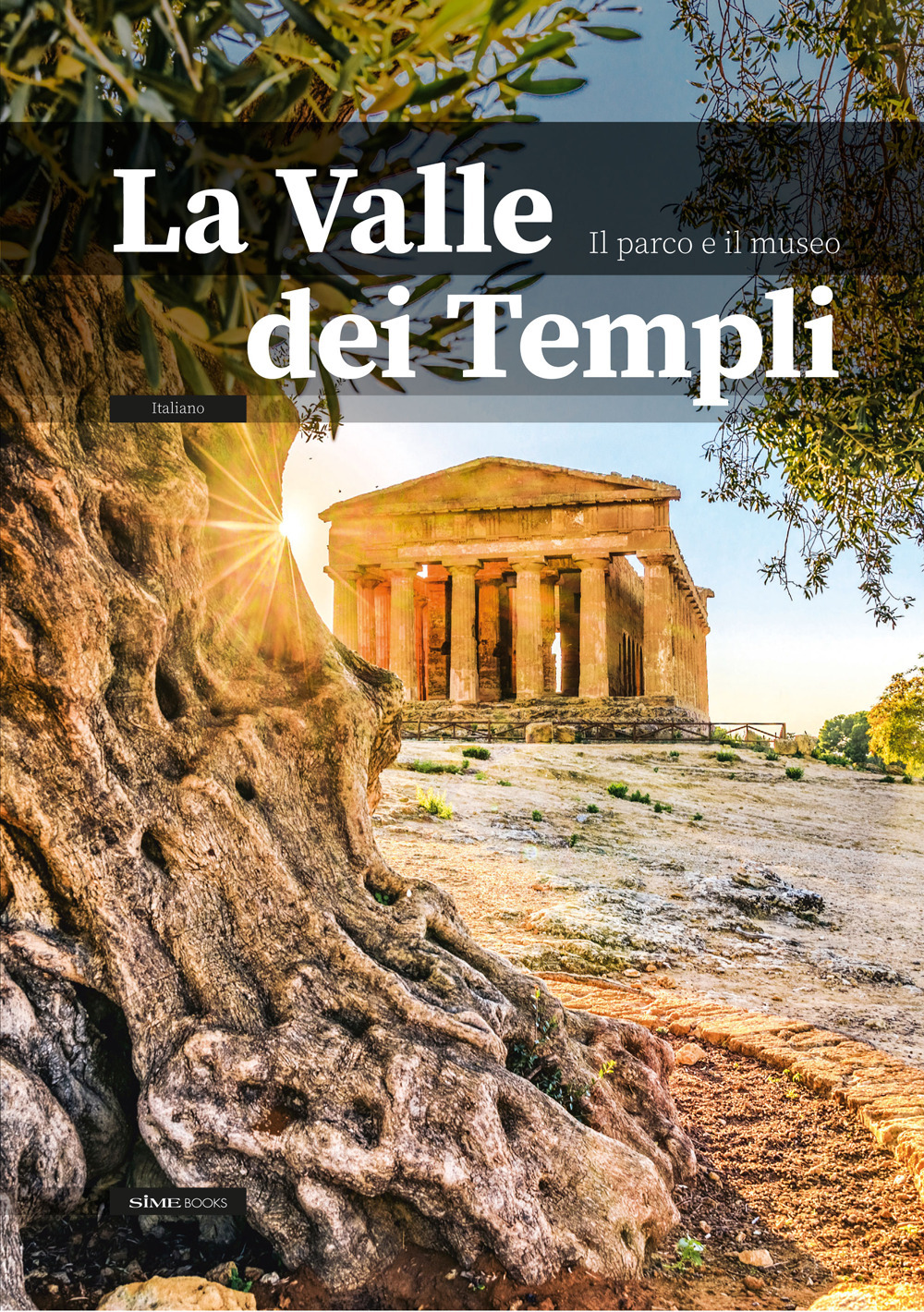 La Valle dei Templi. Il parco e il museo