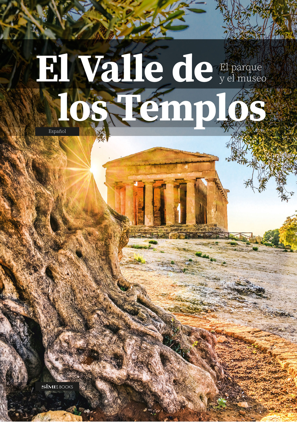 El Valle de los Templos. El parque y el museo