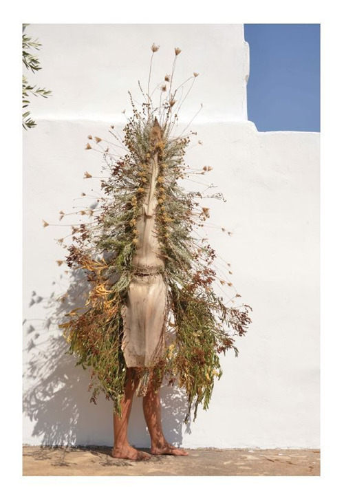 Dal giardino. Riconciliarci con il selvatico