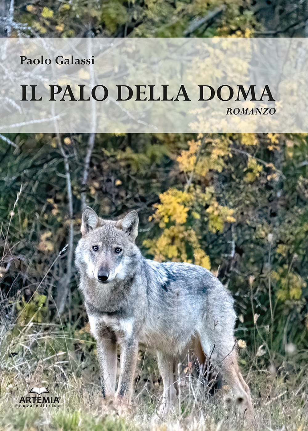 Il palo della doma