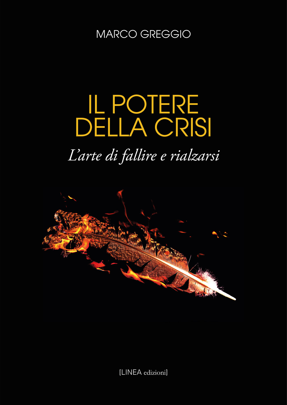 Il potere della crisi. L'arte di fallire e rialzarsi