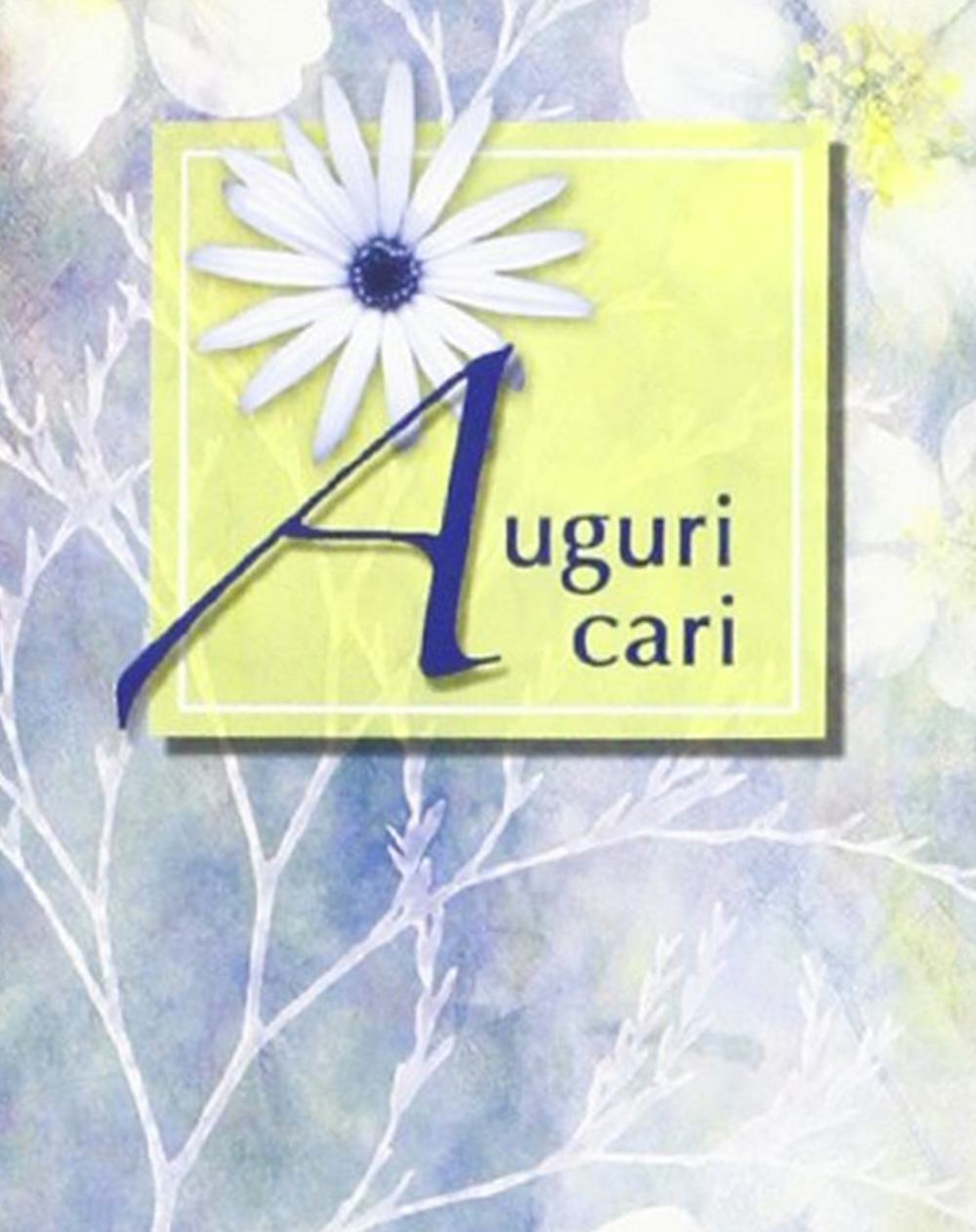 Auguri cari