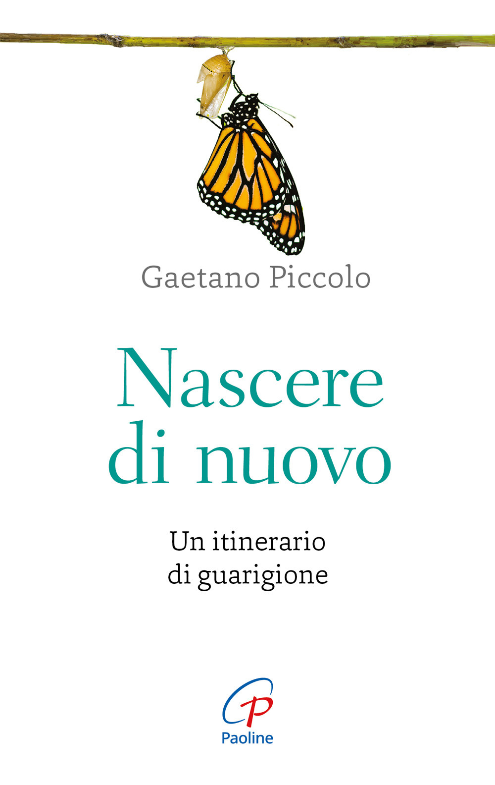 Nascere di nuovo. Un itinerario di guarigione