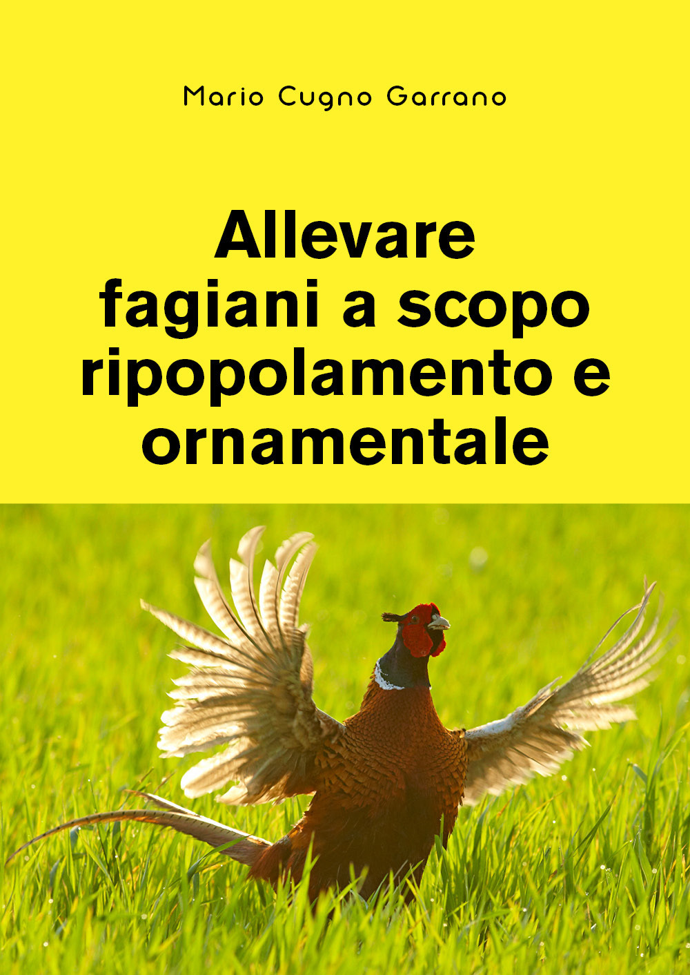 Allevare fagiani a scopo ripopolamento e ornamentale