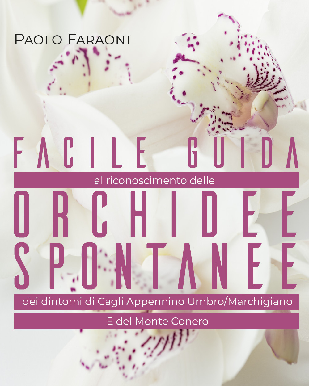 Facile guida al riconoscimento delle orchidee spontanee dei dintorni di Cagli, Appennino Umbro-Marchigiano e del Monte Conero