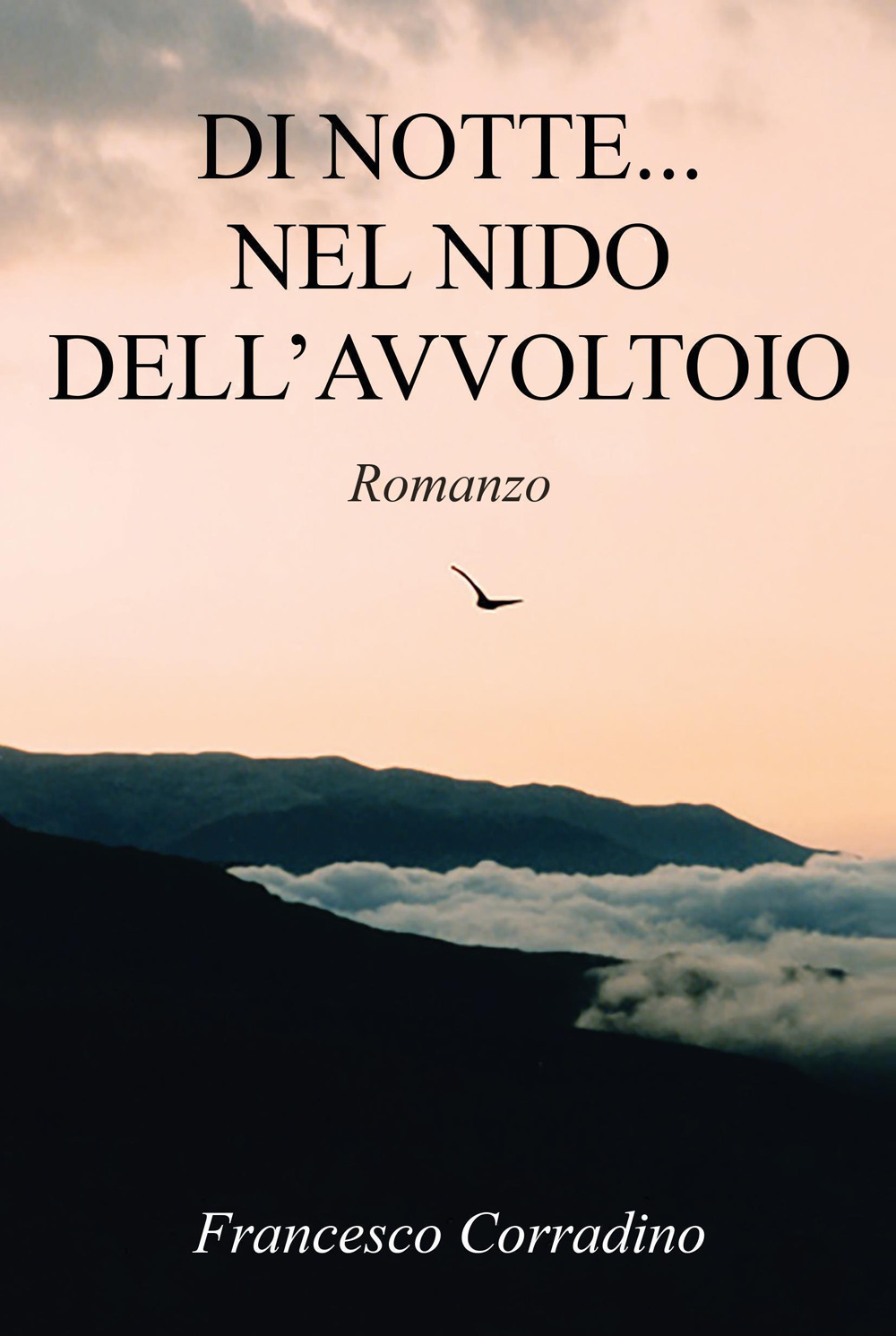 Di notte... nel nido dell'avvoltoio