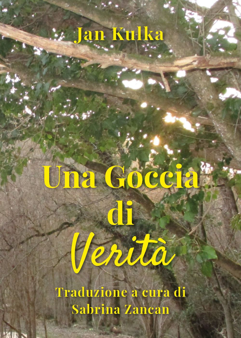 Una goccia di verità