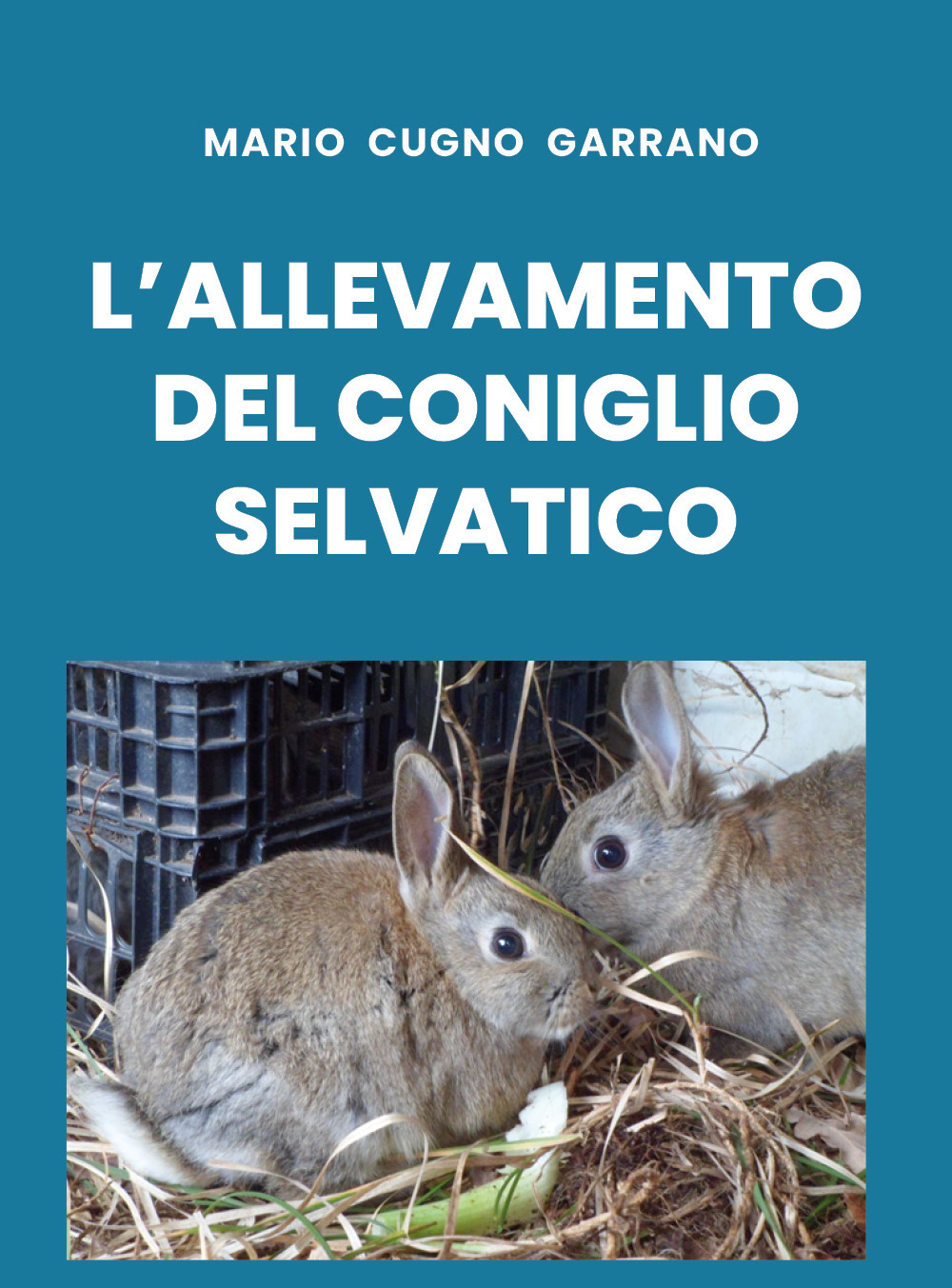 L'allevamento del coniglio selvatico