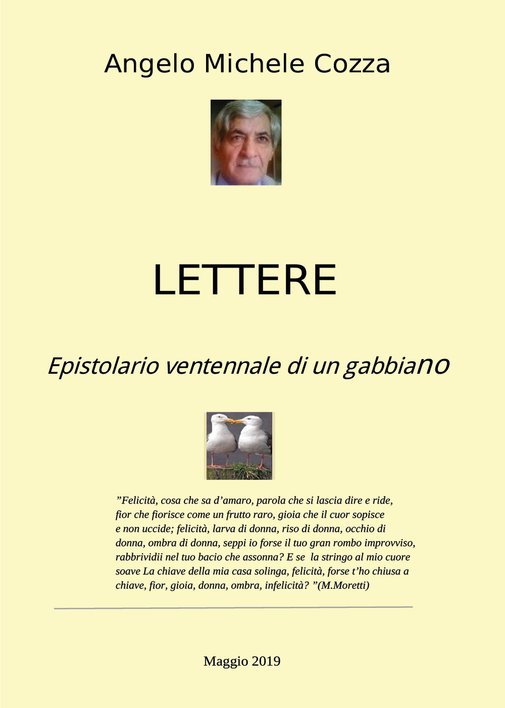 Lettere. Epistolario ventennale di un gabbiano