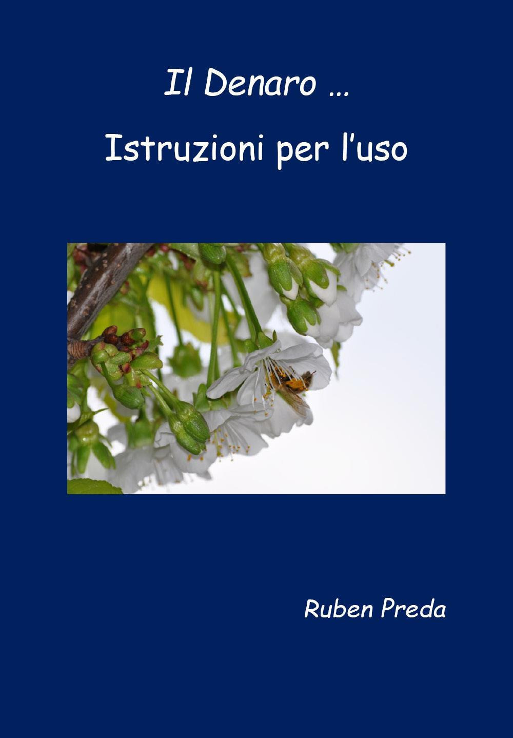 Il denaro... Istruzioni per l'uso