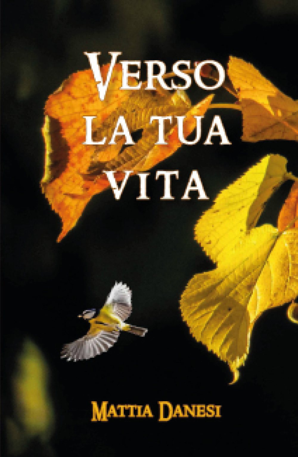 Verso la tua vita