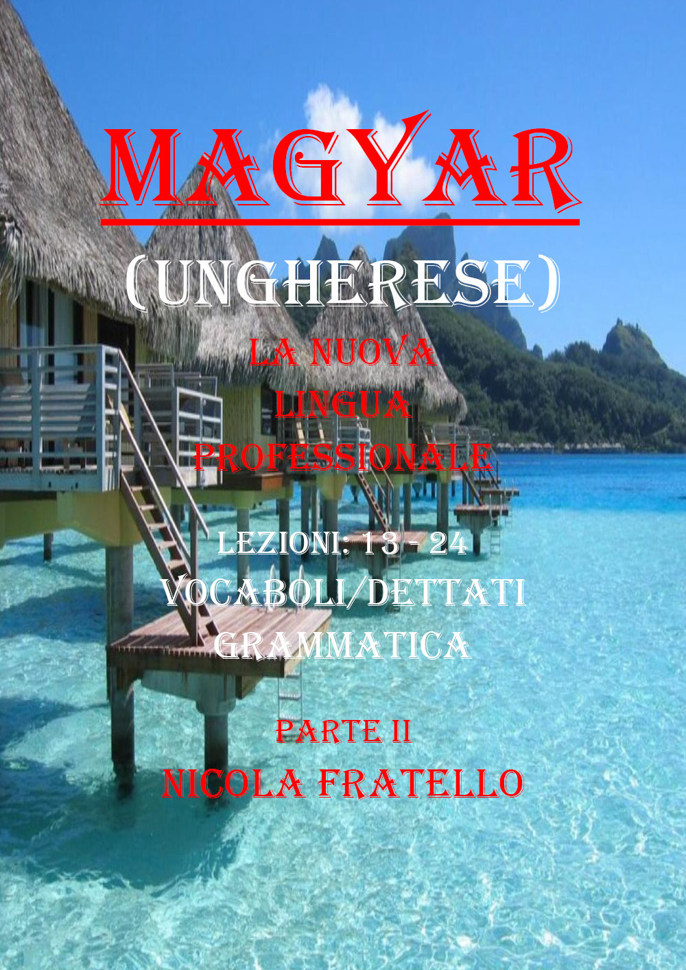 Magyar. La nuova lingua professionale. Vol. 2: Lezioni 13-24