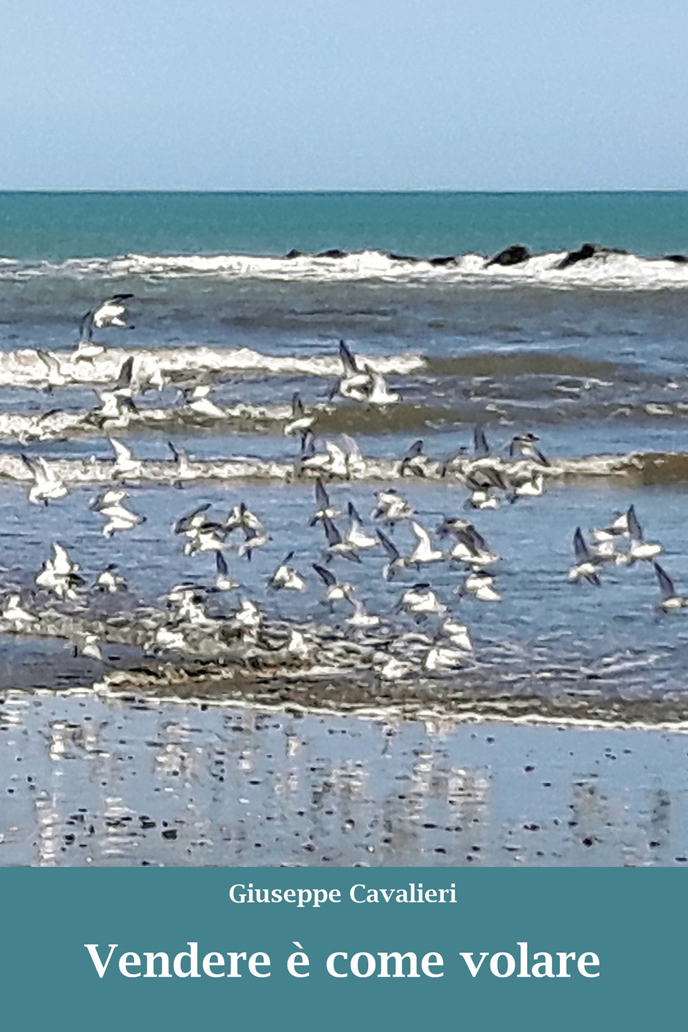 Vendere è come volare