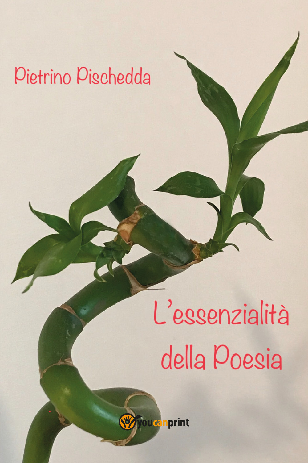 L'essenzialità della poesia