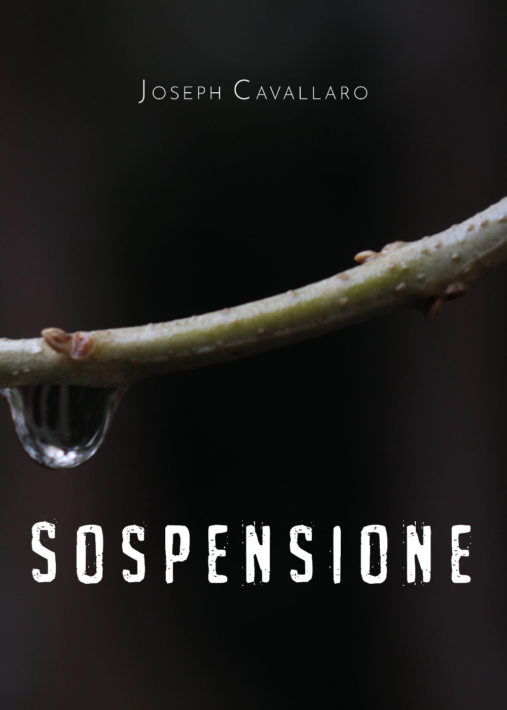 Sospensione