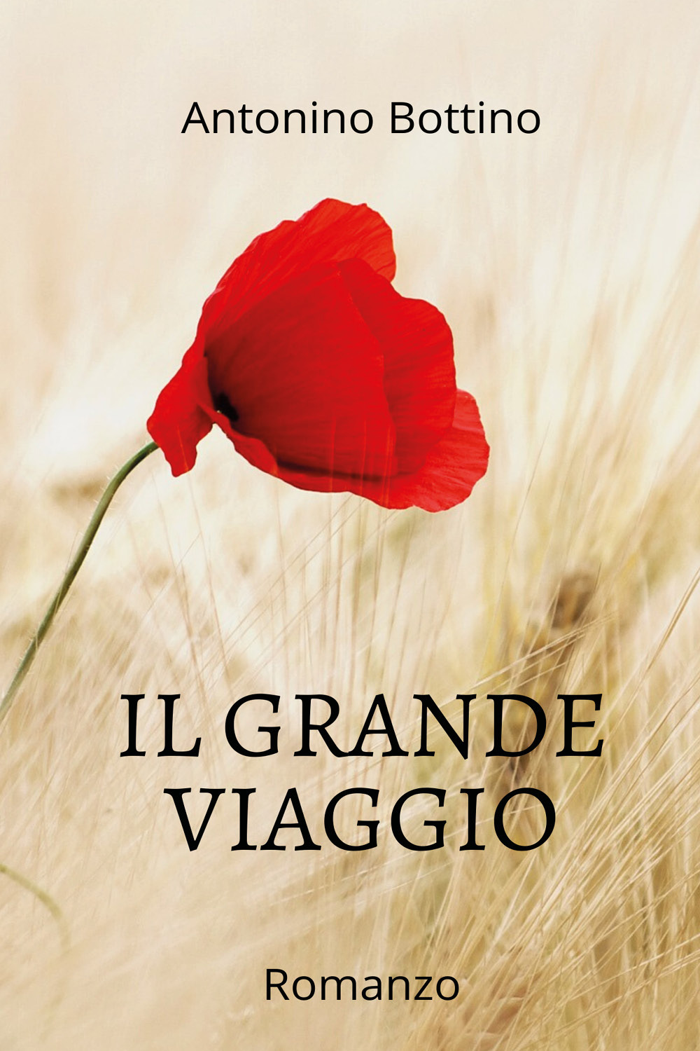 Il grande viaggio