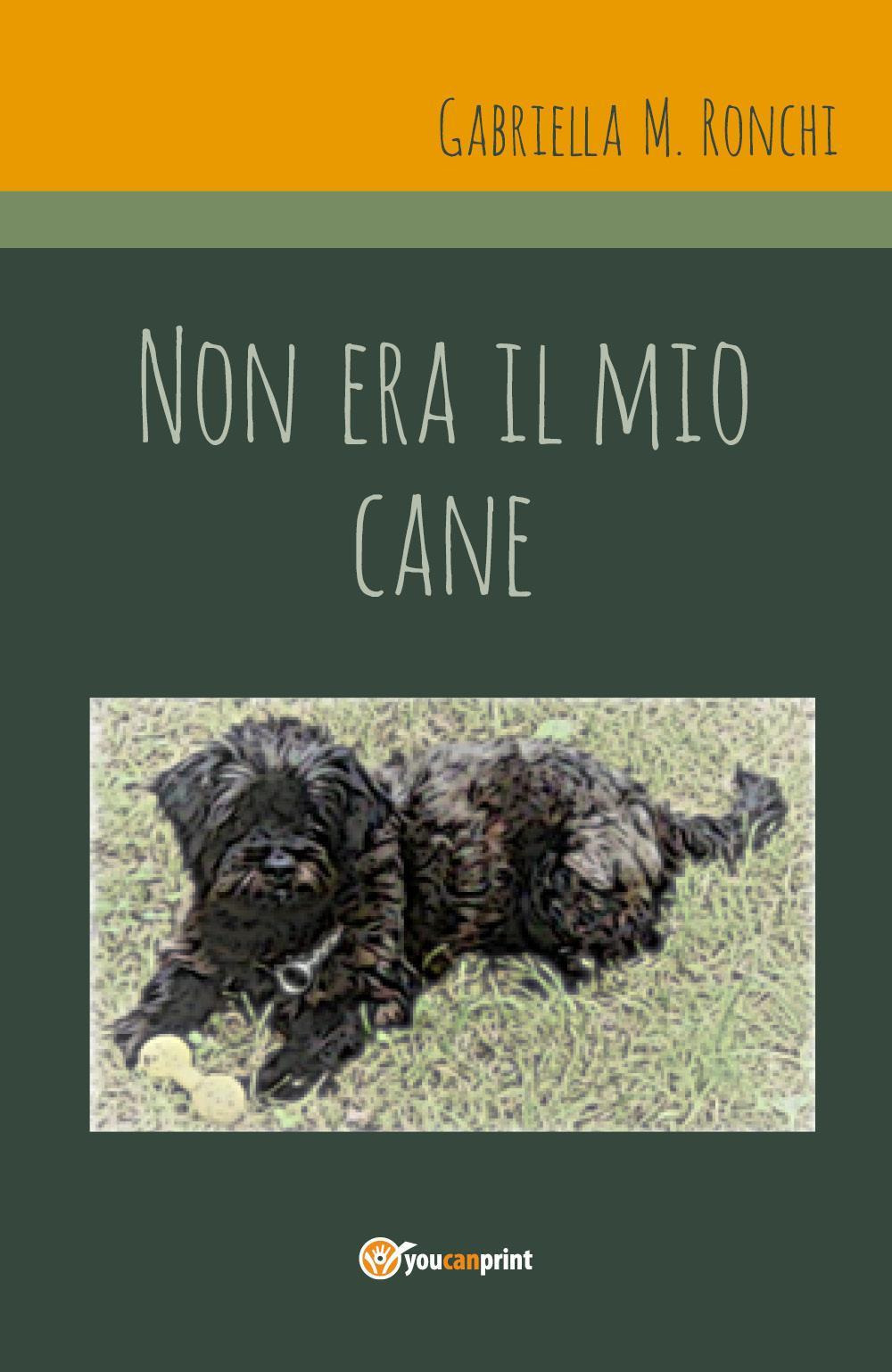 Non era il mio cane