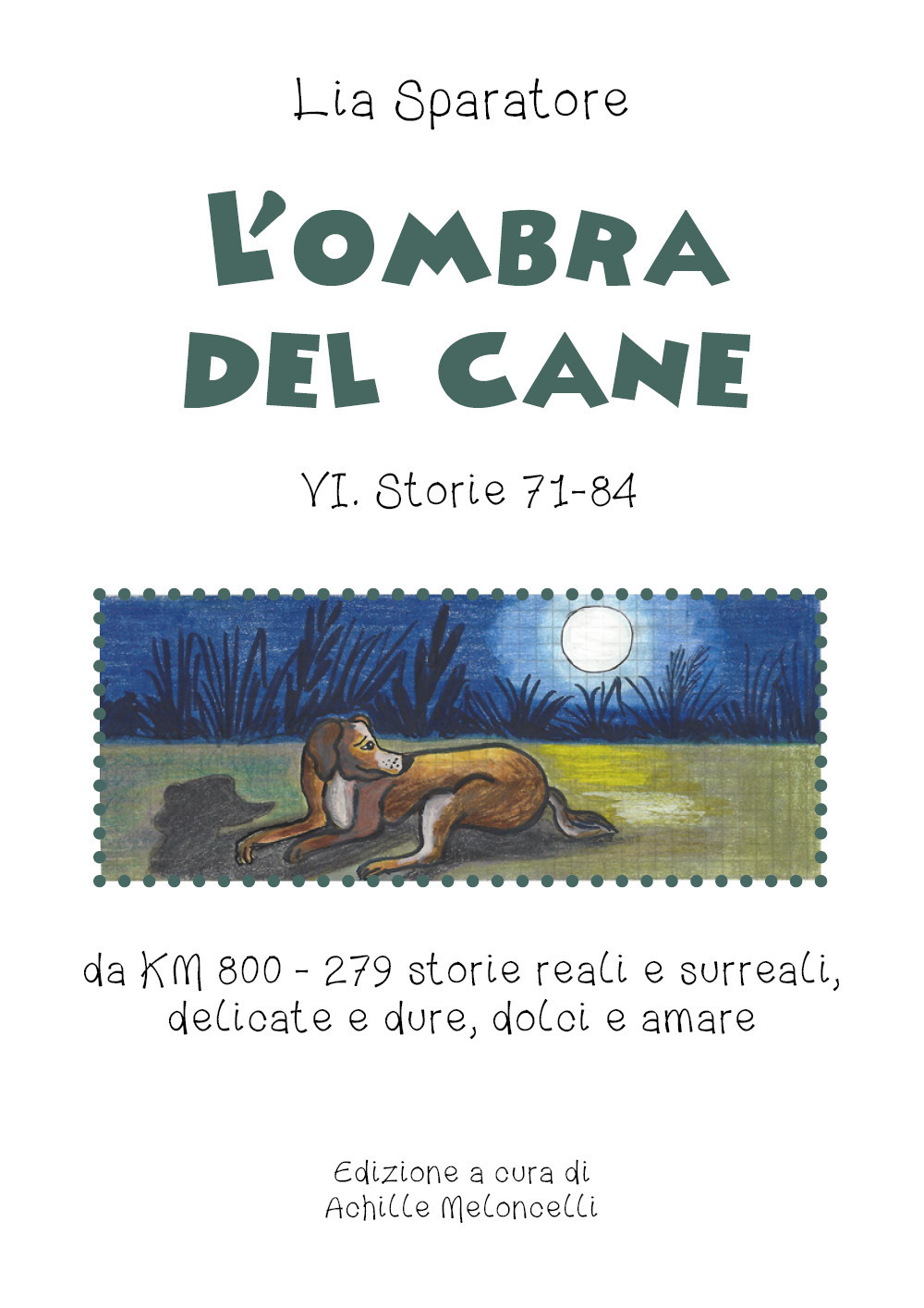 L'ombra del cane VI. Storie 71-84 da km 800-279 storie reali e surreali, delicate e dure, dolci e amare