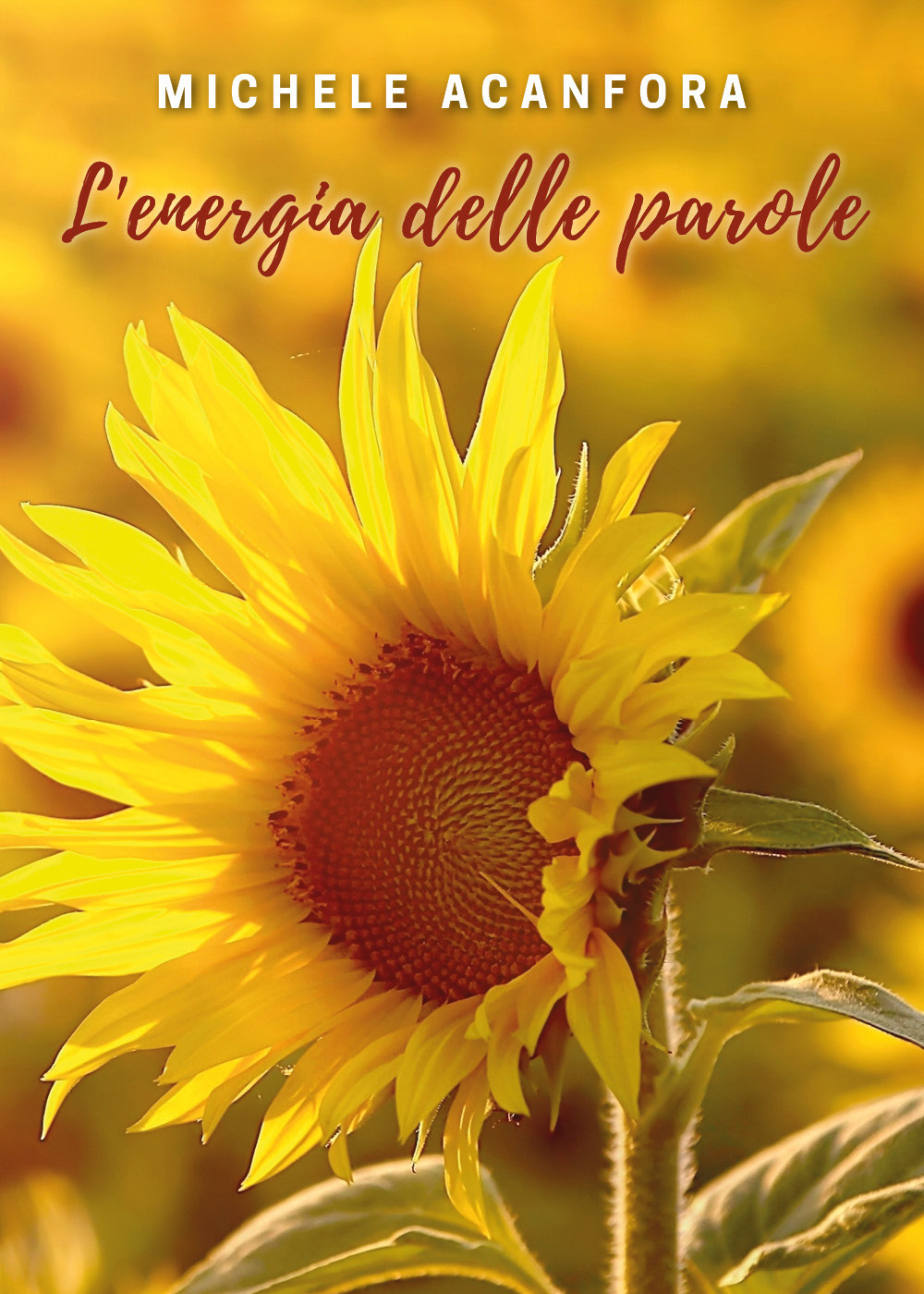 L'energia delle parole