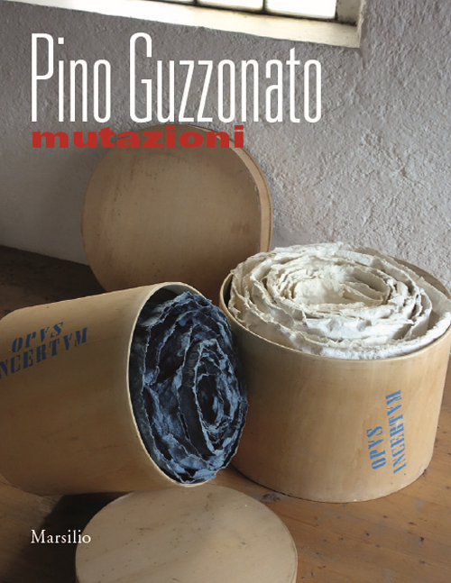 Pino Guzzonato. Mutazioni