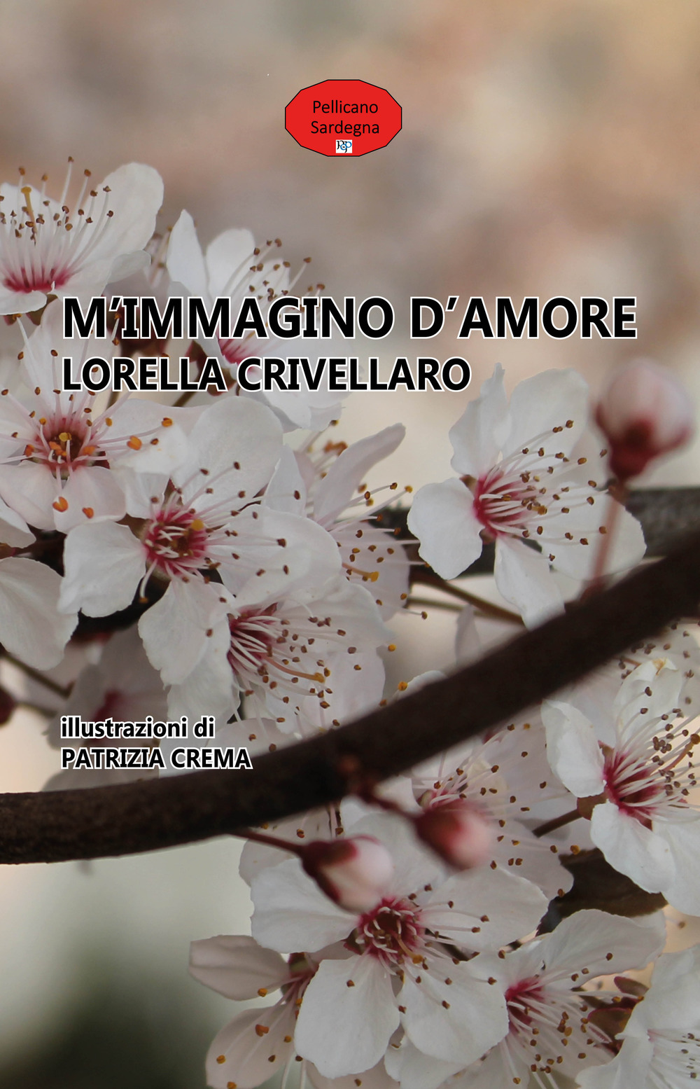 M'immagino d'amore
