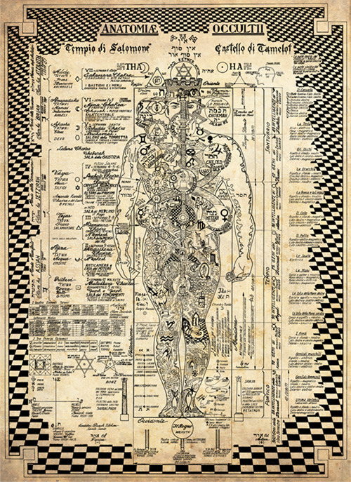 Anatomiae Occultii. Anatomia Occulta (poster)