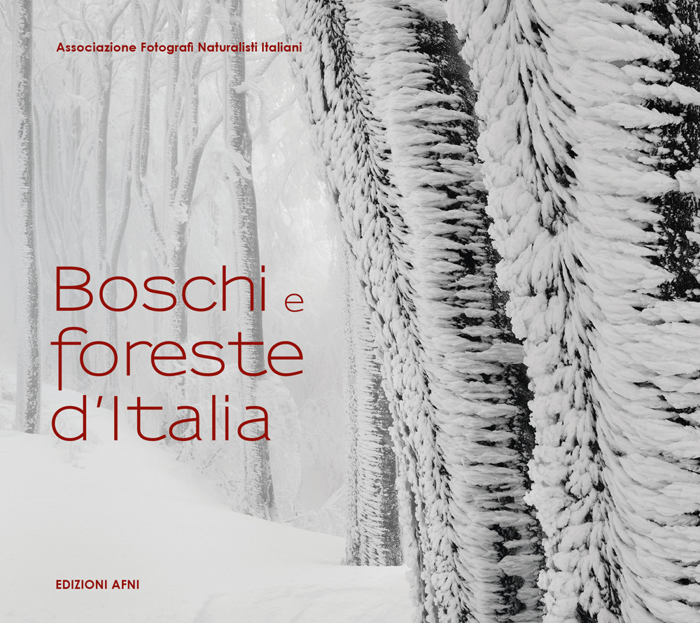 Boschi e foreste d'Italia
