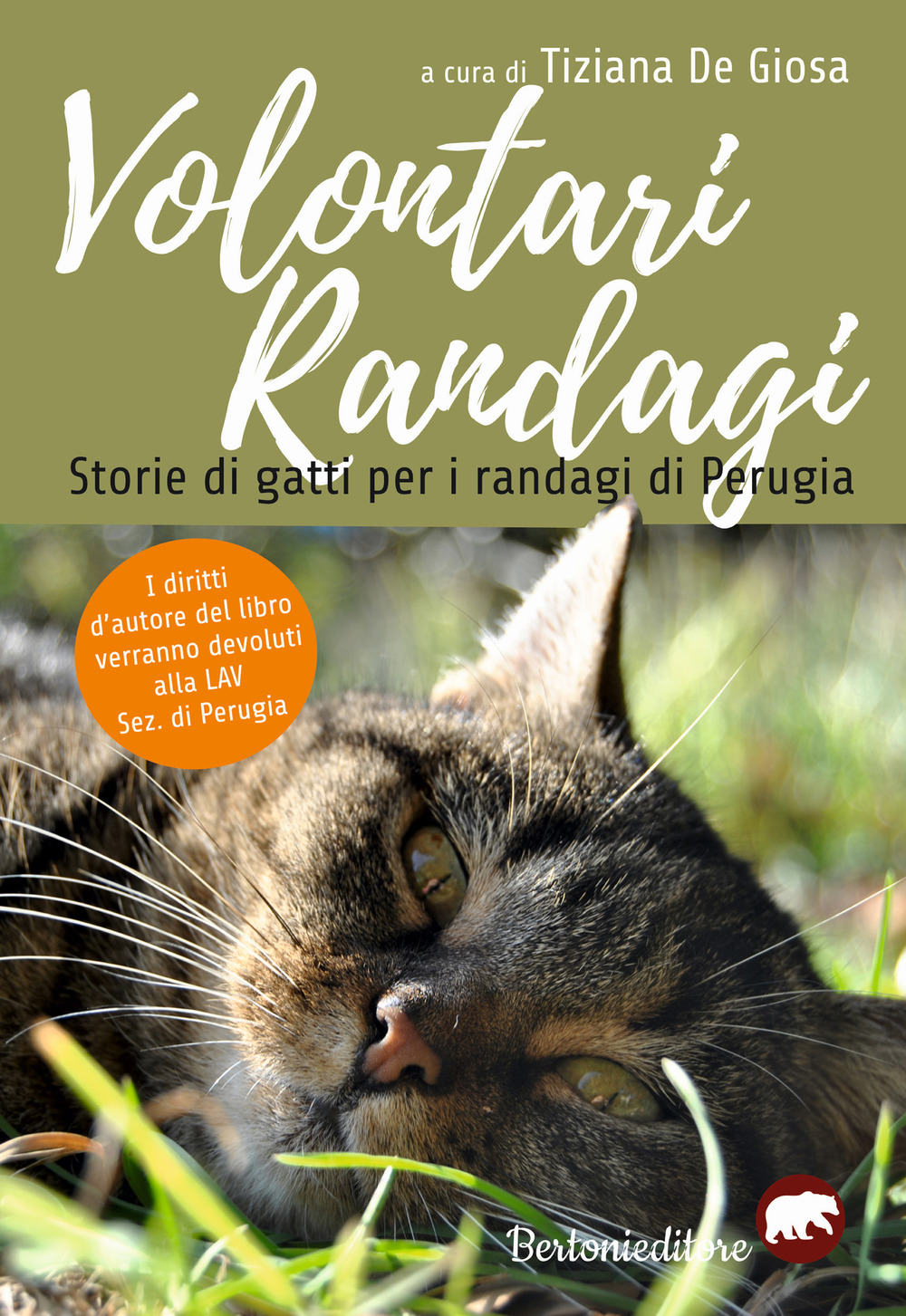 Volontari randagi. Storie di gatti per i randagi di Perugia