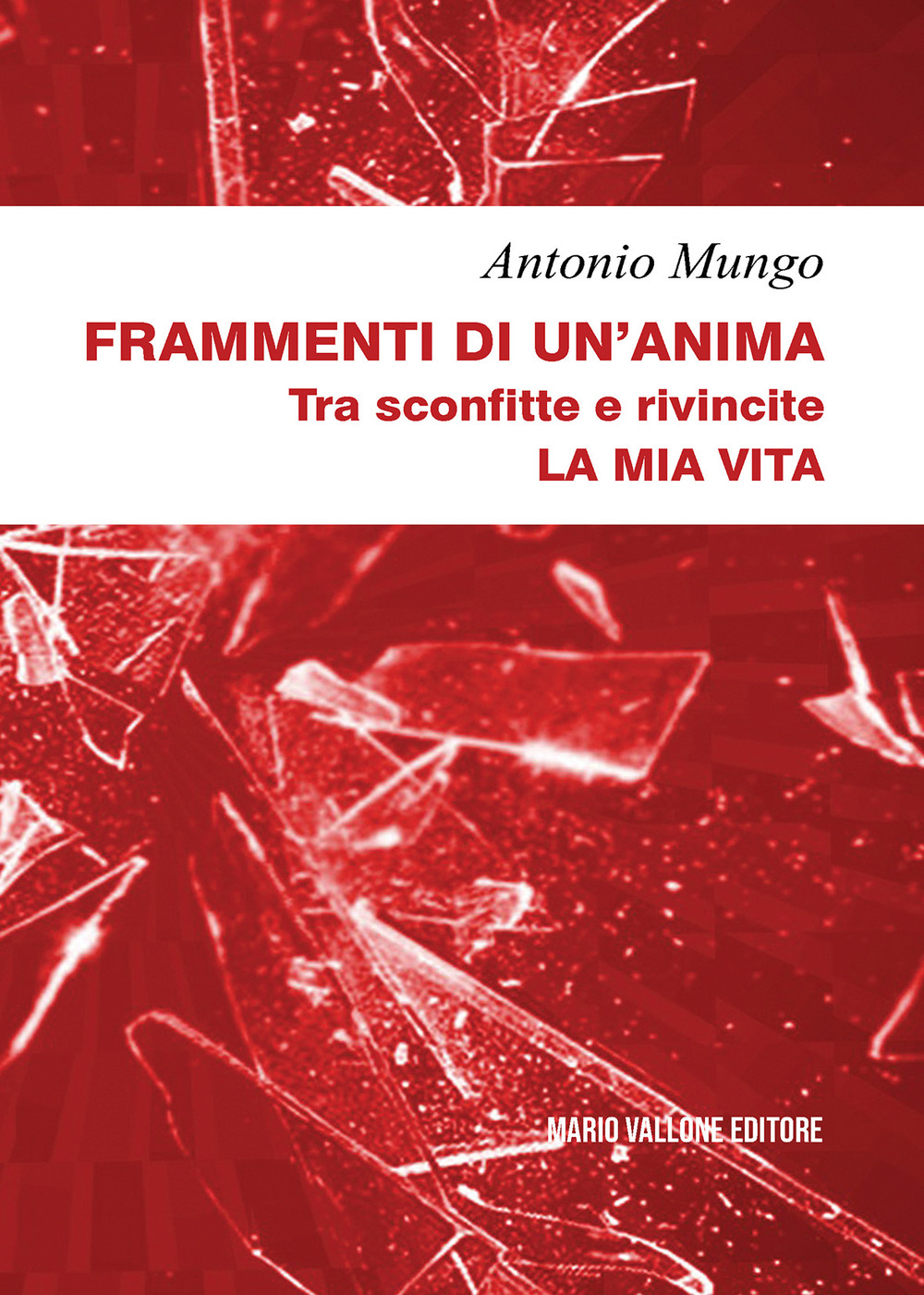 Frammenti di un'anima. Tra sconfitte e rivincite. La mia vita