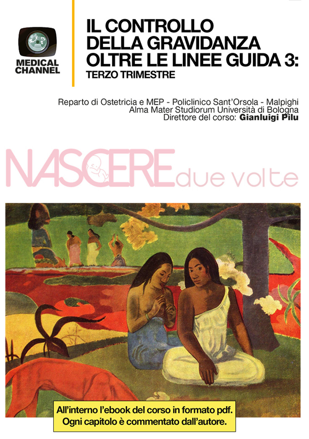 Il controllo della gravidanza oltre le linee guida. Vol. 3: Terzo trimestre
