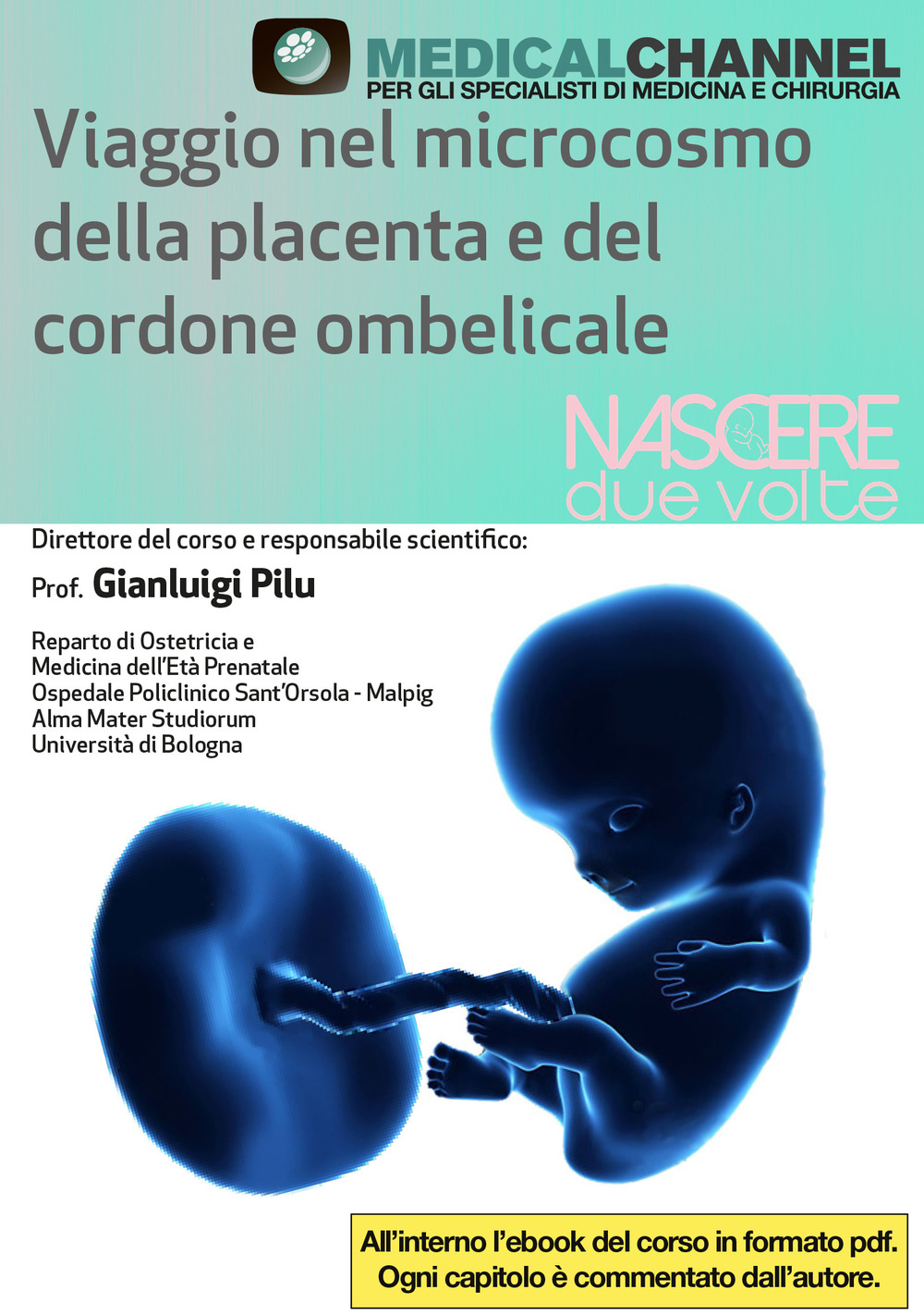 Viaggio nel microcosmo della placenta e del cordone ombelicale