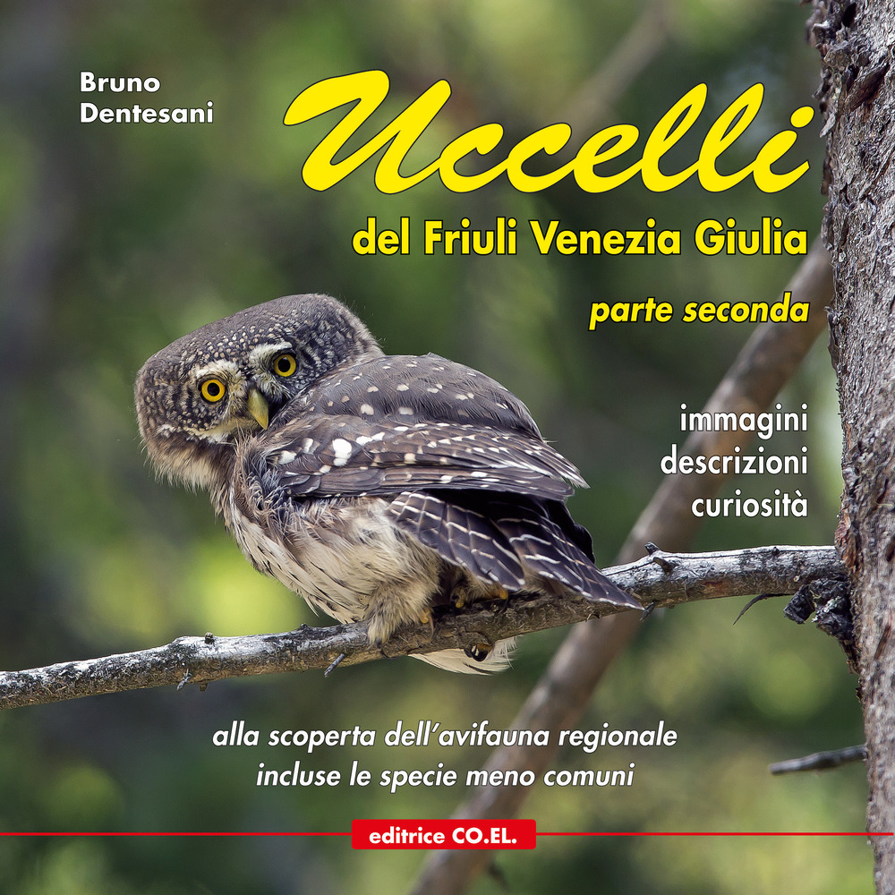 Uccelli del Friuli Venezia Giulia. Immagini, descrizioni, curiosità. Percorsi ornitologici alla scoperta dell'avifauna regionale. Vol. 2