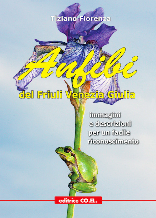 Anfibi del Friuli Venezia Giulia. Immagini e descrizioni per un facile riconoscimento