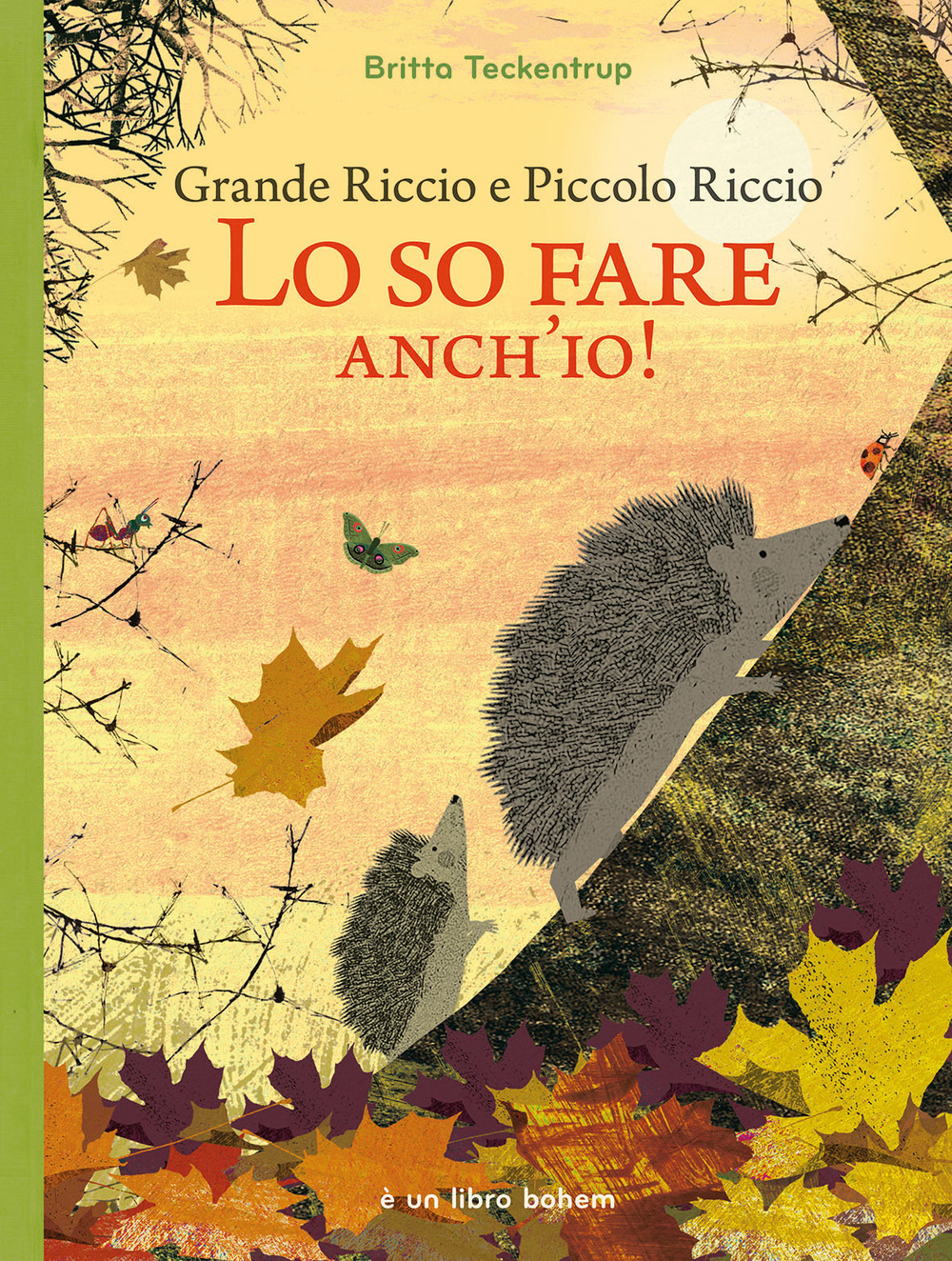 Grande riccio e piccolo riccio. Lo so fare anch'io!