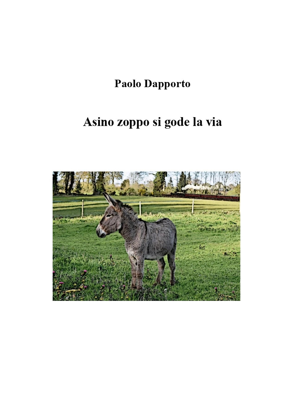 Asino zoppo si gode la via