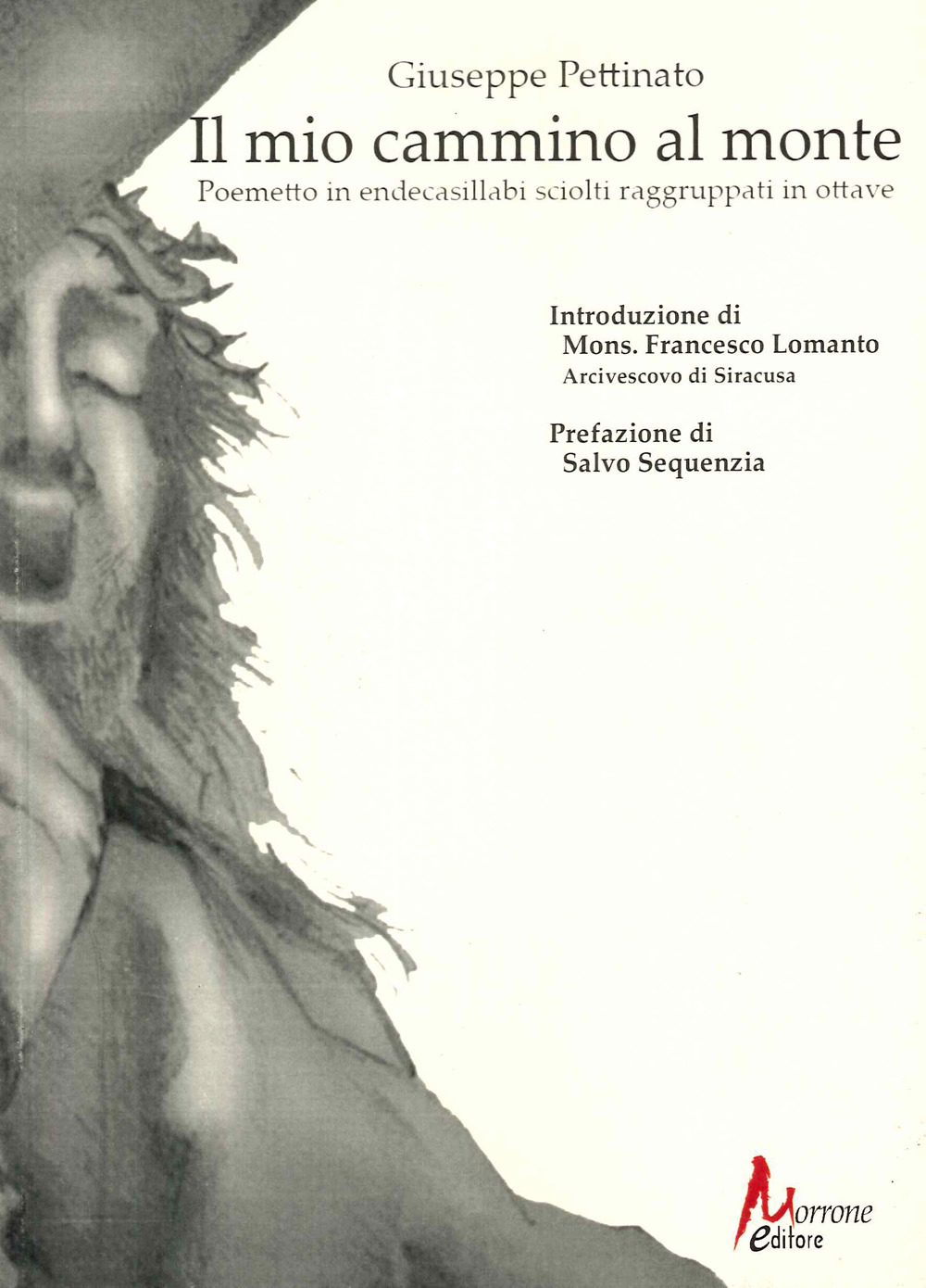 Il mio cammino al monte