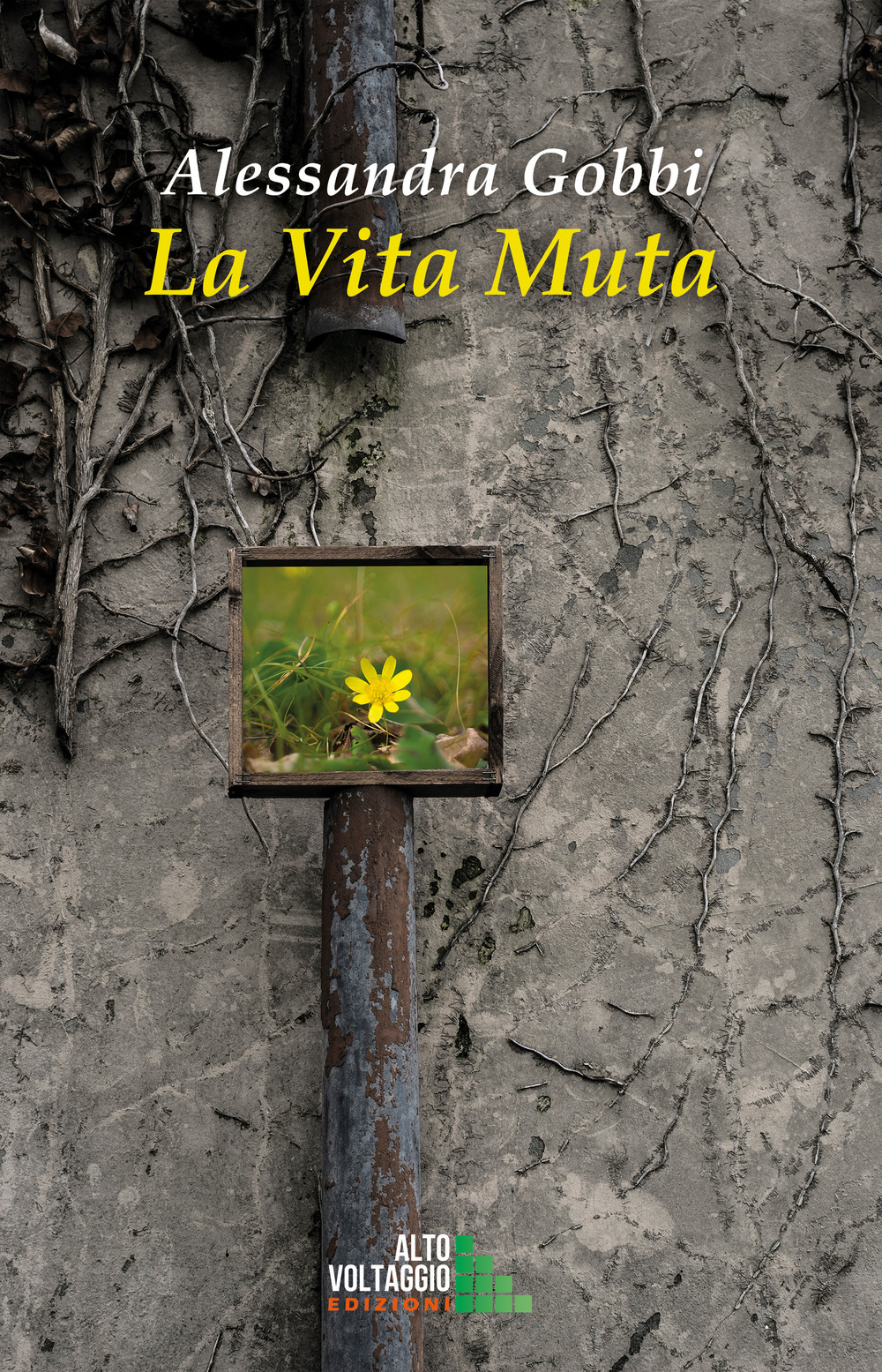 La vita muta