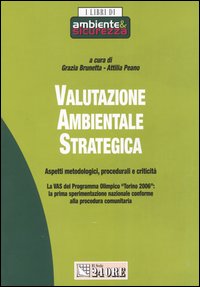 Valutazione ambientale strategica. Aspetti metodologici, procedurali e criticità