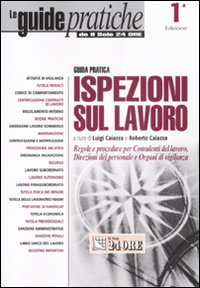 Ispezioni sul lavoro. Regole e procedure per consulenti del lavoro, direzioni del personale e organi di vigilanza
