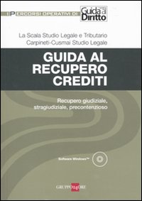 Guida al recupero crediti. Recupero giudiziale, stragiudiziale, precontenzioso