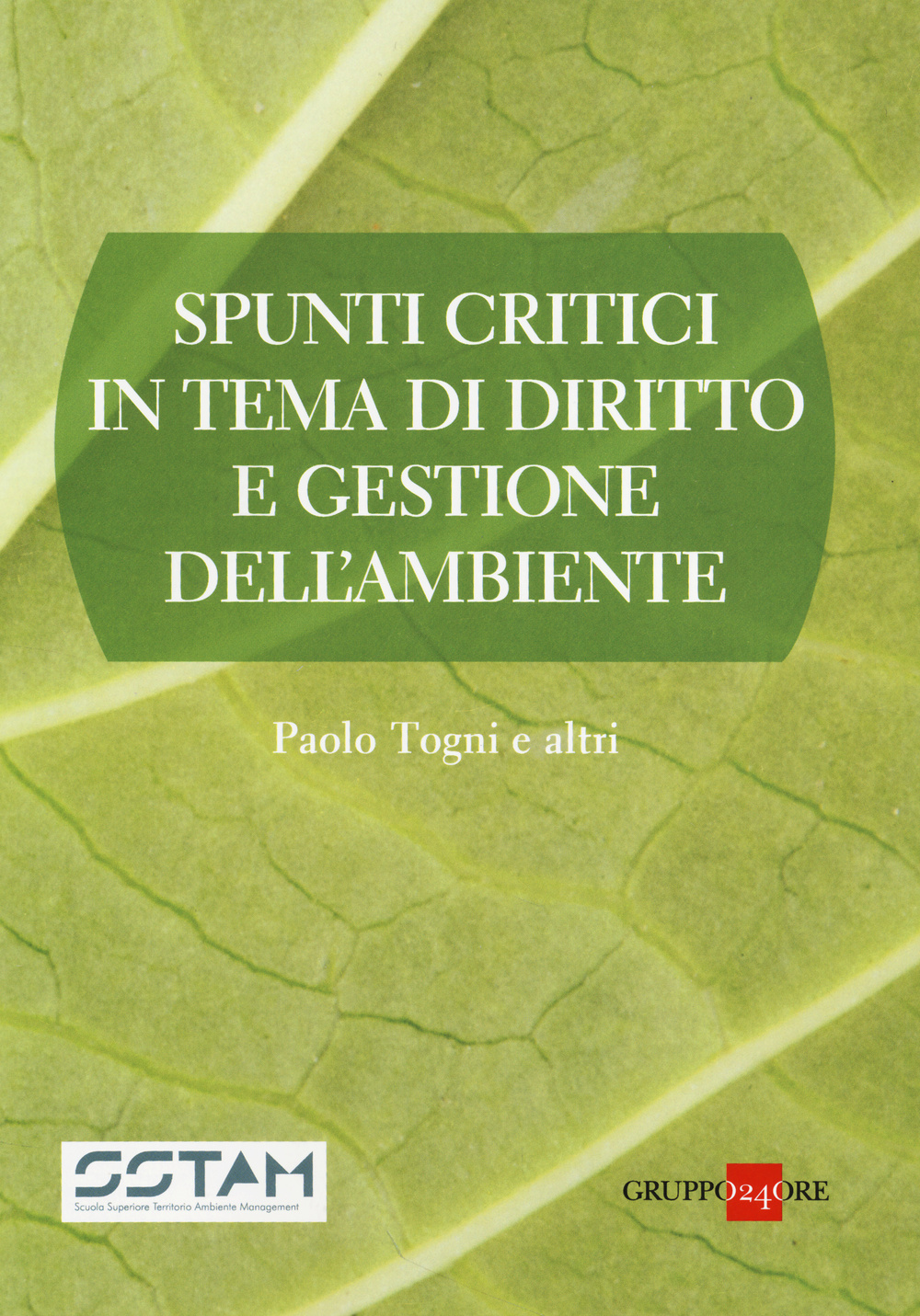 Spunti critici in tema di diritto e gestione dell'ambiente
