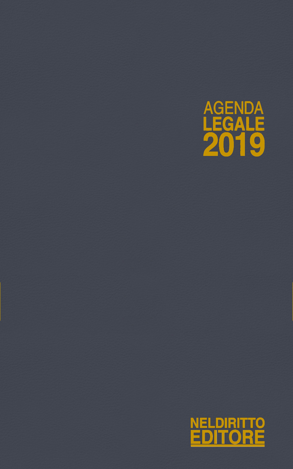 Agenda legale 2019 grigio. Ediz. minore